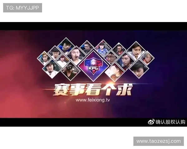 王者荣耀深度解析：RNG战术背后的秘密与策略揭秘