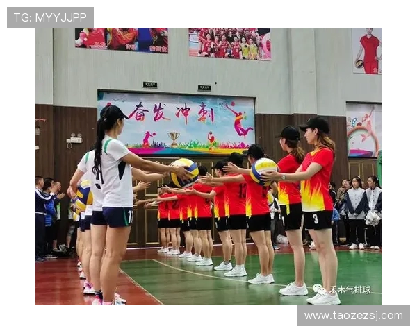 重庆排球队心理素质深度对比分析与提升策略探讨