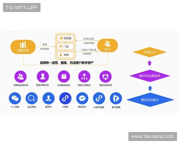 从零起步掌握飞盘团队协作技巧与策略的全面指南
